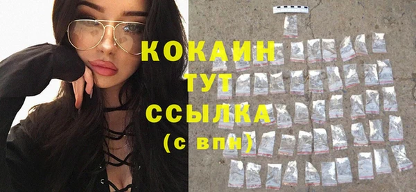 молекула духа Строитель