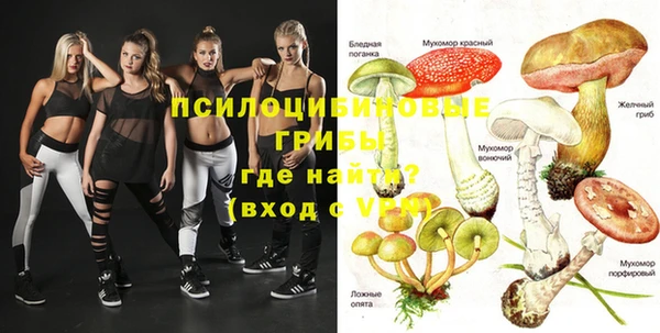 молекула духа Строитель